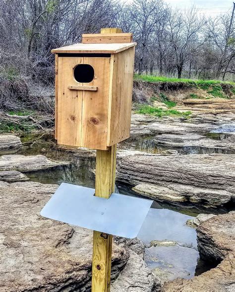 metal skirt below wood duck box|wood duck nest boxes.